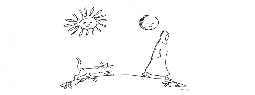 28. w sig. apology 2 new